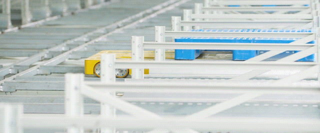 dongtu.gif dongtu.gif